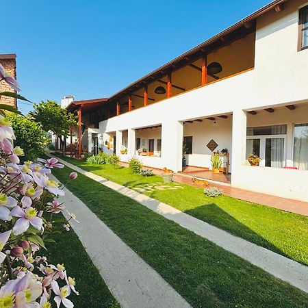 Elma Guesthouse Alba Iulia Ngoại thất bức ảnh